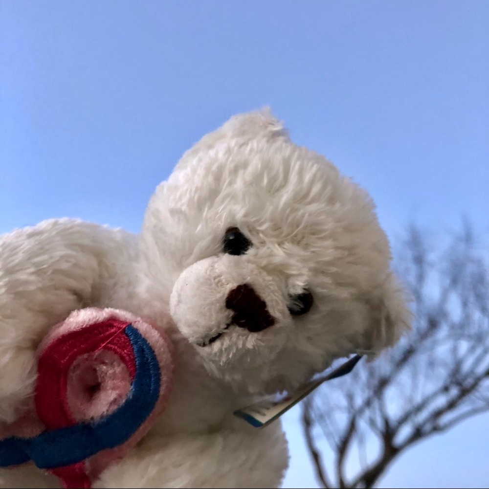 Vintage March of dimes Plush Bear Toy Cancer Ribbon